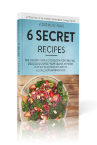 6 Secret Recipes Cookbook